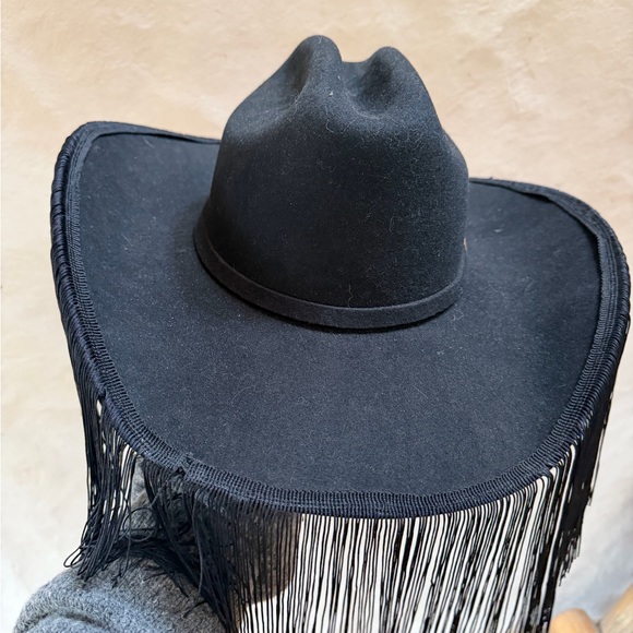 Wide Brim Customized Fun Fringe Snake Wool Stetson Hat size 7 1/4 - Picture 11 of 11